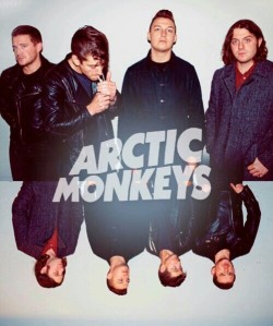 13fluorescentadolescent:  Monkeys