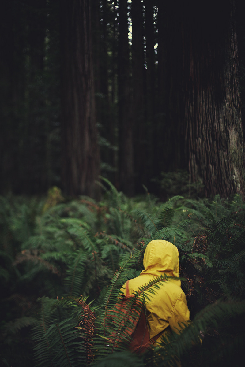wolftramp:  Vintage Blog ☼ 