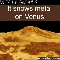 wtf-fun-factss:  Snowing metal on Venus - WTF