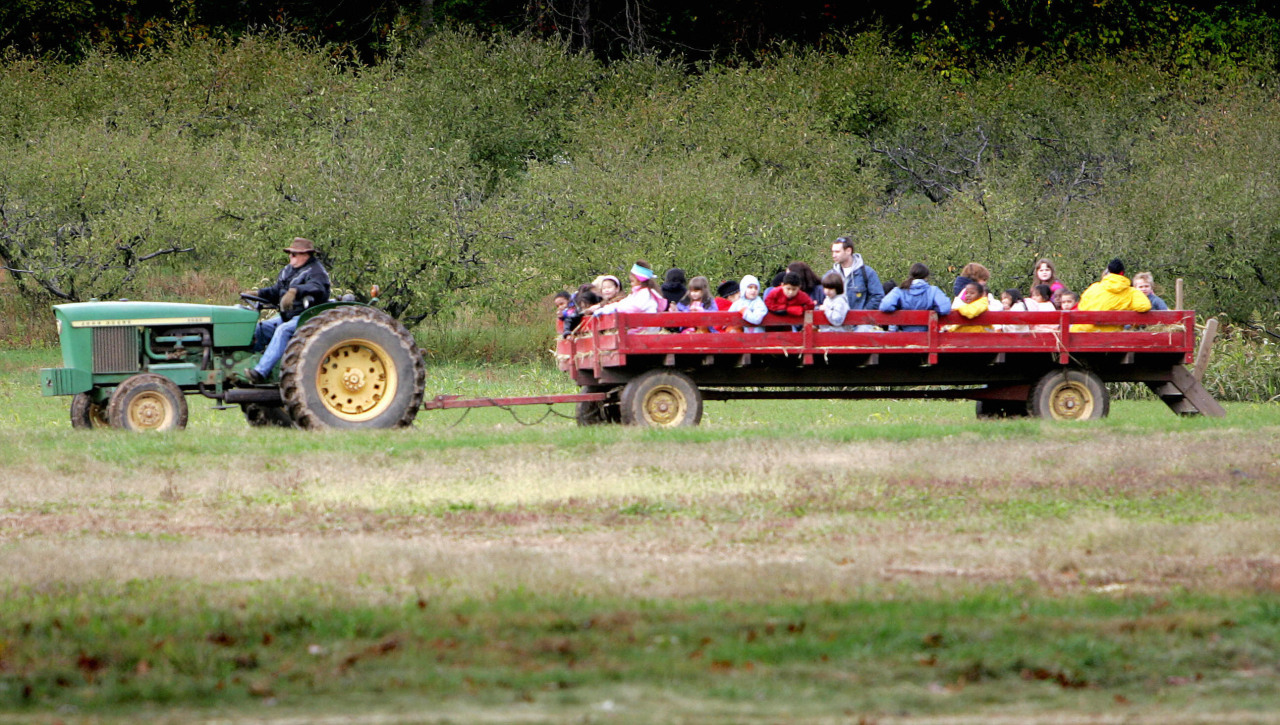 theonion:  Report: 15,000 People Vanish From ‘Fall Fest’ Hayride Wagons Each