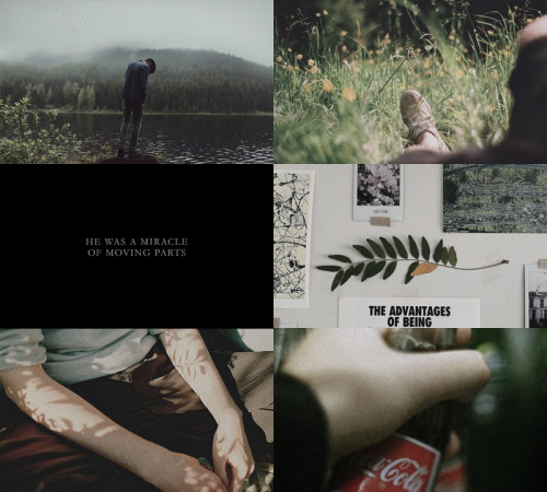Ya Lit Meme: Five Protagonists (3/5)adam Parrish