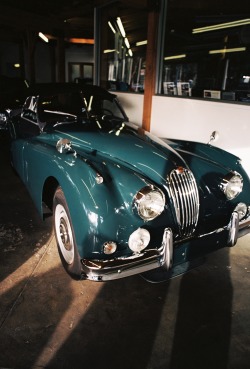 apex35mm:  Jaguar XK140 // 35mm Film  