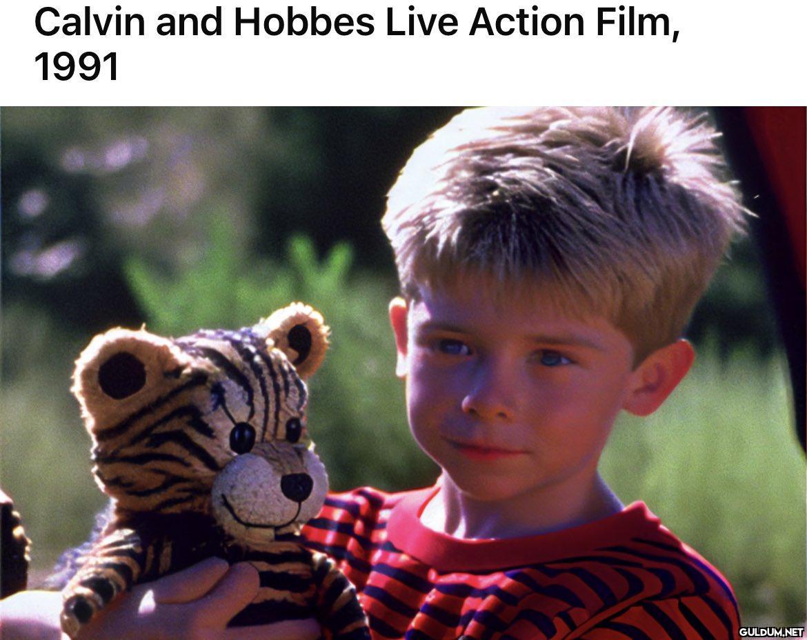 Calvin and Hobbes Live...