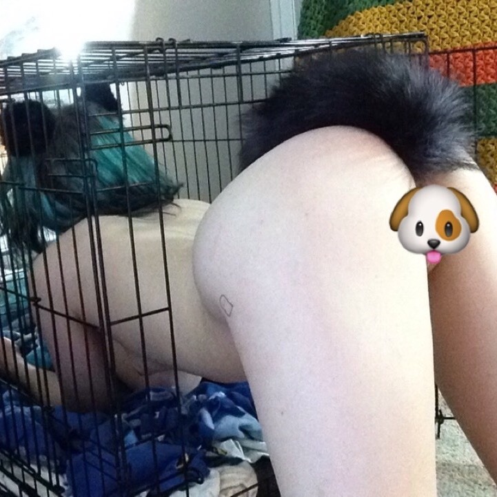 zhanoodle:  noooooodle..! bad girrrrll. how’d you get out of your cage?!  (deleted
