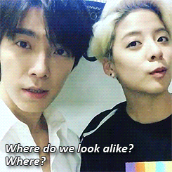 rurouneko: donghae861015: Do we look alike? (x) (x)