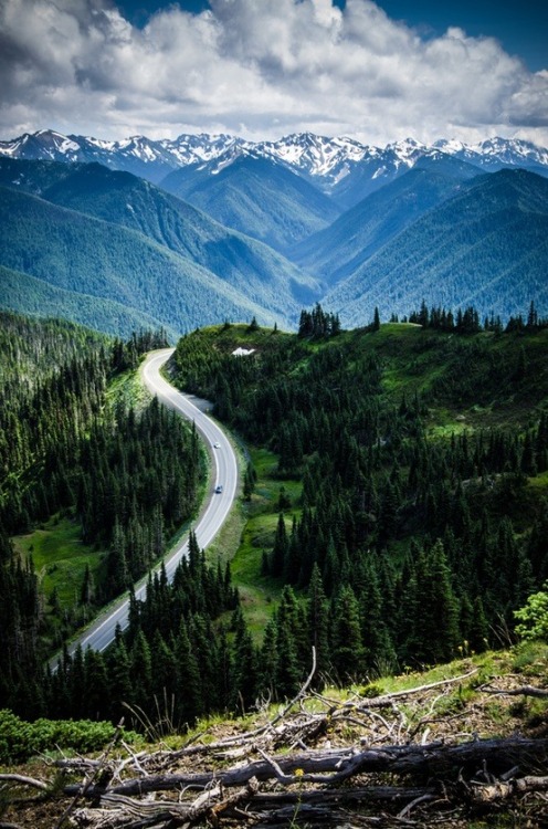 Hurricane Ridge, Olympic National Park, Washington