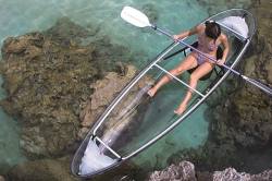 viralthings:  Transparent canoe to observe