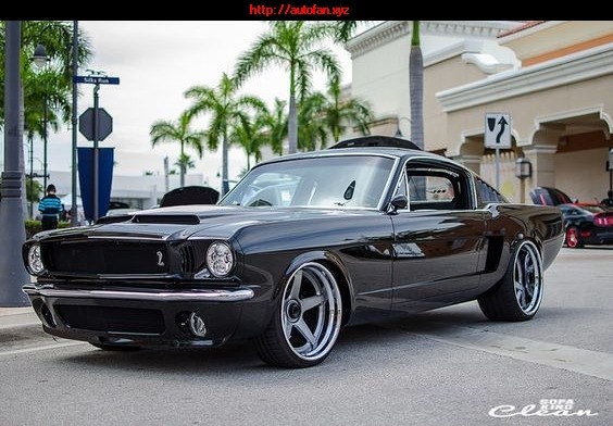 carhub843:  Mustang