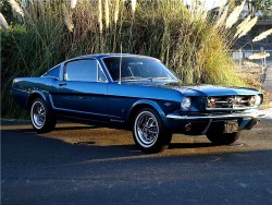 prova275:  Fastback 289 GT… 1965 Mustang