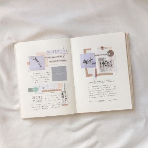 gentlepalettes-study