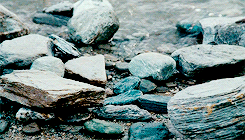 arrgorns: It’s like in the great stories, Mr. Frodo. The ones that really mattered.