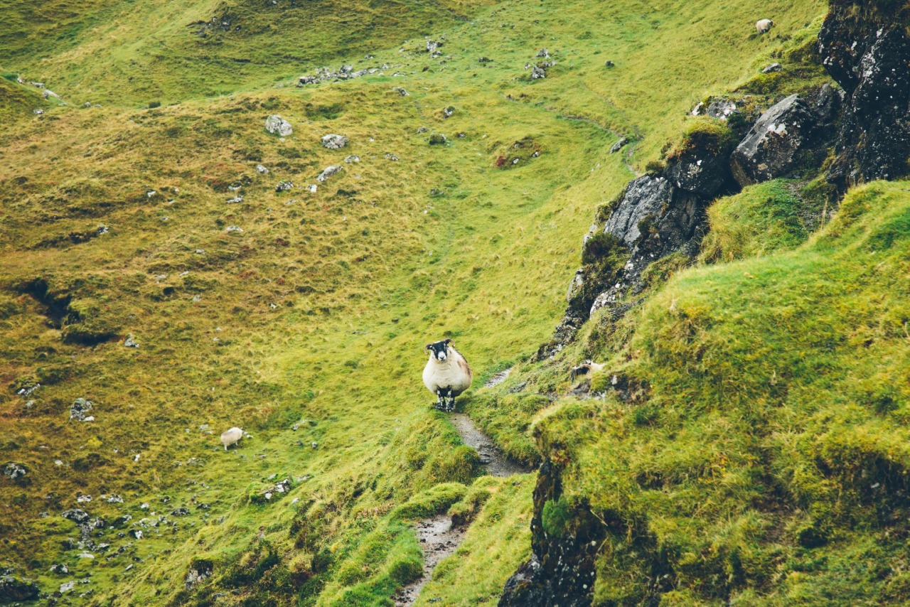 dpcphotography:  Quiraing , Isle of Skye 