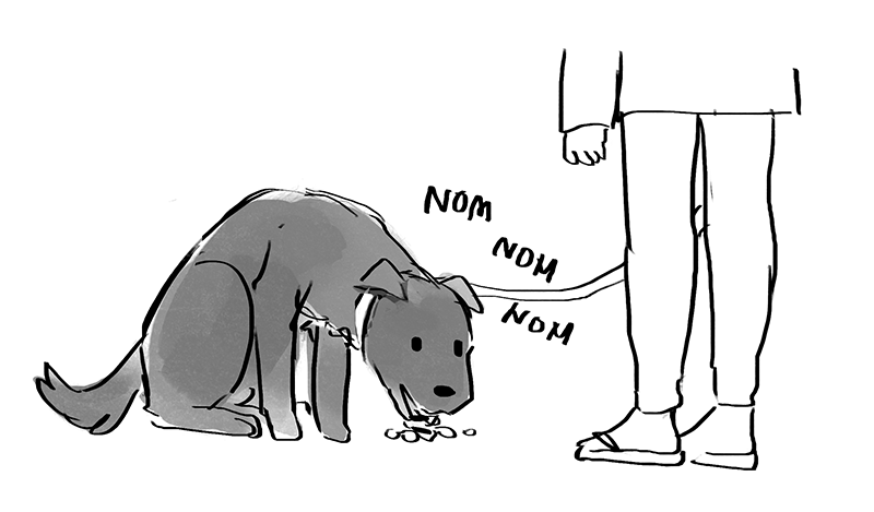 otahkoapisiakii:  starfleetrambo:  starfleetrambo: My dog has a habit where, right