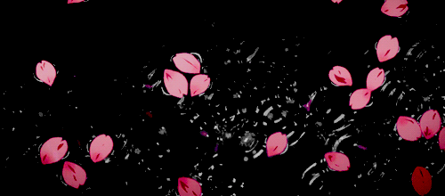 220 Cherry Blossom pictures Cherry Blossom Gif Illustration stock images   Lovepikcom