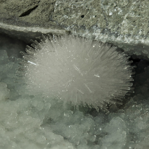 Scolecite - Jalgoan Quarries, Maharashtra, India      