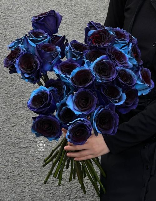 Dark Flowers Appreciation Post