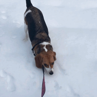 tumblr_oiwkfnmiUN1v4q9oio1_400.gif