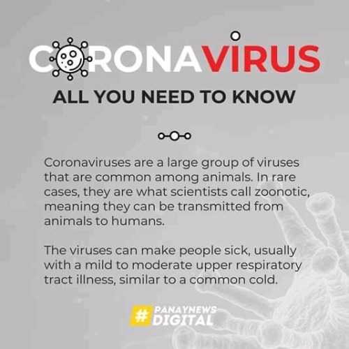 All You Need To Know About The Corona Virus! Spread The Information And Stay Safe, Guys!