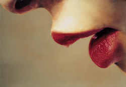 Quello Che Cerchi