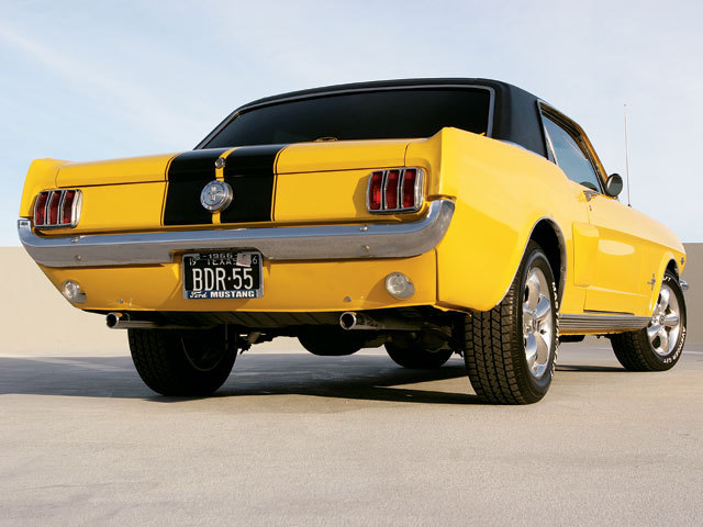 Mustangs galore