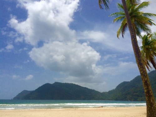 trinibreeze:Maracas Beach