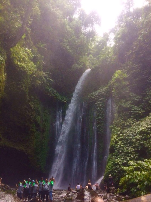 java-jungle: Lombok Island - My photo don’t delete the caption