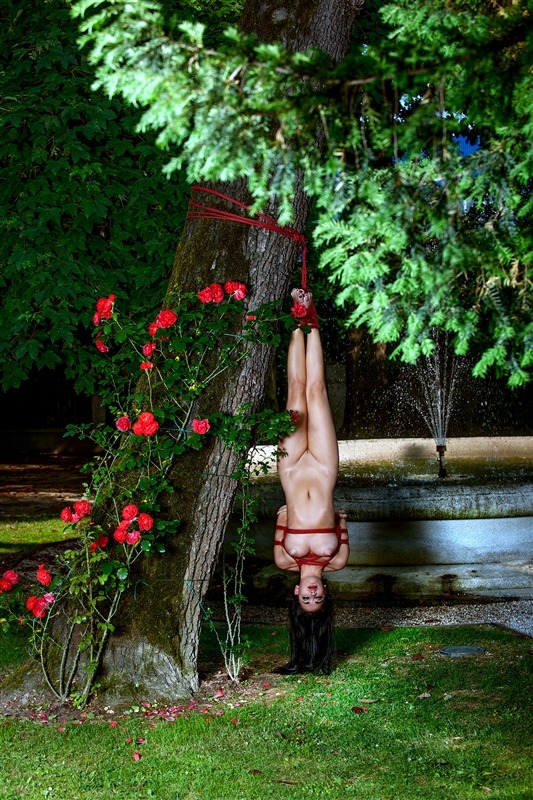 leatherlacedbass:  New garden arrangements.