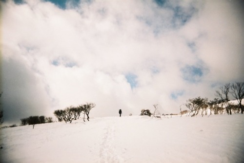 mt.fujiwara feb 15,2017