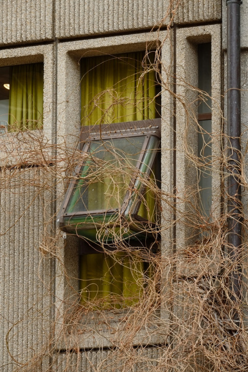 scavengedluxury:Breuninger department store. Freiburg, March 2017.