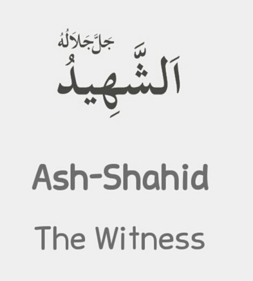 repentandrepentagain:Asmaul Husna - 50 - Ash Shahid الشهيد