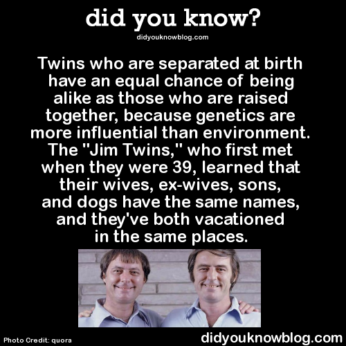 did-you-kno:  Twins who are separated at birth have an equal chance of being alike