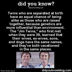 did-you-kno:  Twins who are separated at birth have an equal chance of being alike as those who are raised together, because genetics are more influential than environment. The “Jim Twins,” who first met when they were 39, learned that their wives,