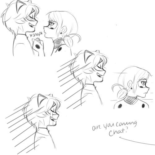 taylordraws:kitty bells are not very stealthy chat noir!!!