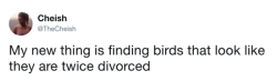 ahiddenkitty:  tastefullyoffensive: (via TheCheish) these birds were never divorced.  They have, however, been widowed several times, to their remarkable financial benefit. 