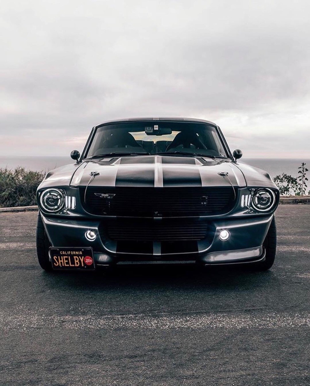 widebodyloverr:  𝐒𝐡𝐞𝐥𝐛𝐲 🐎-In your opinion, what is the most