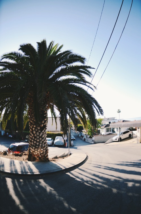 Envy Avenue.