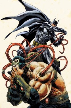 gothamart:  Batman vs Bane by   Dan Panosian