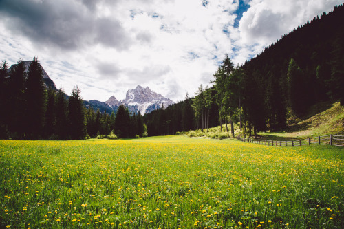 dolomiti