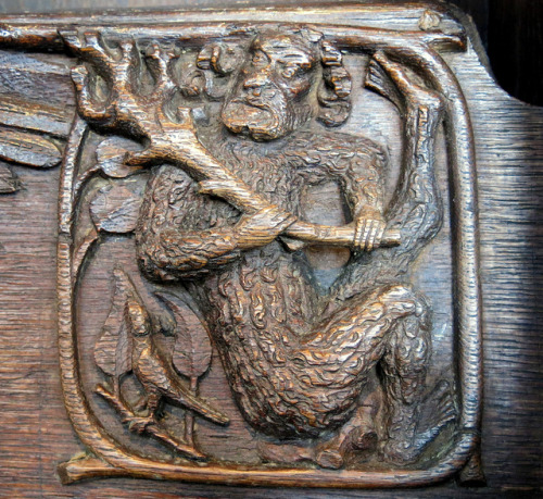 skeleton-richard: kardiologn: A Wild Man misericord carving (c.1390), the Church of St Botolph, Bost