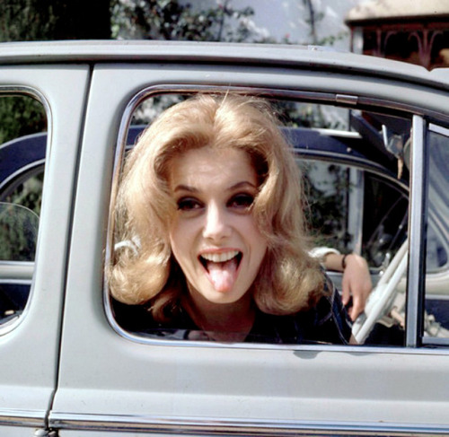 Catherine Deneuve, 1962.