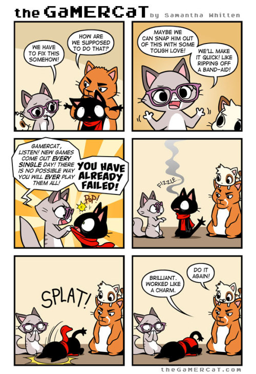 the GAMERCat understands what it means to be a REALGAMER™ !!! :  r/xXRealGamerzXx