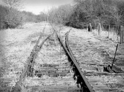 britishrailways:  Rails To Nowhere by R~P~M