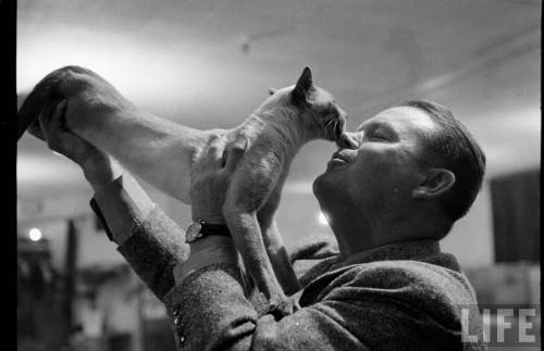 Los Angeles cat show(George Silk. 1952)