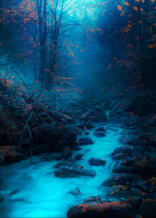 coiour-my-world: Mt. Konjuh, Zlaca River, Banovici, Bosnia | Mevludin Sejmenovic