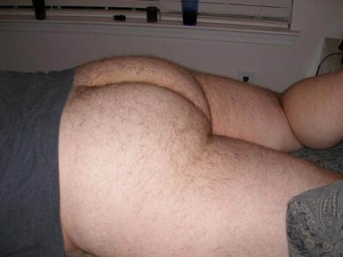 bear-tum: 1246 Nice asses to fuck