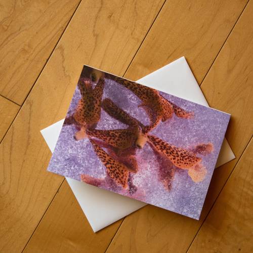 Fine Art Frozen Spotted Orchids Blank Greeting Card w/envelope, All Occasion Note Card - 5"x7&q