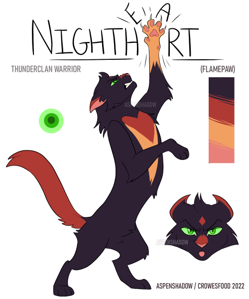 Nightheart (Flamekit; Flamepaw) Note: These designs are free to use for non-commercial purposes with