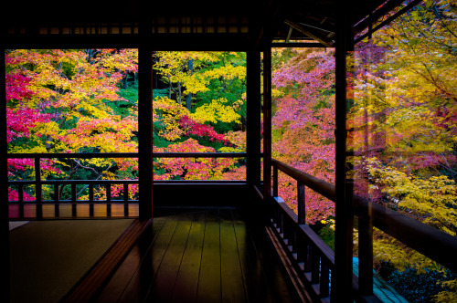 ourbedtimedreams:momiji ‘12 - autumn leaves #13 (Rurikou-in temple, Kyoto) by Marser