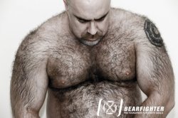 Muscle & Power Lifting Bear Pinups