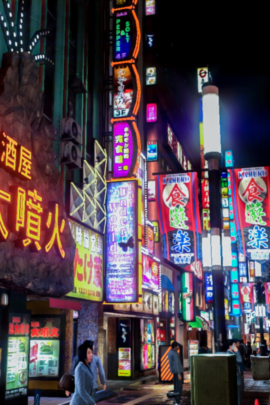 XXX nishikishighwaistedpants:Streets of Kamurocho photo